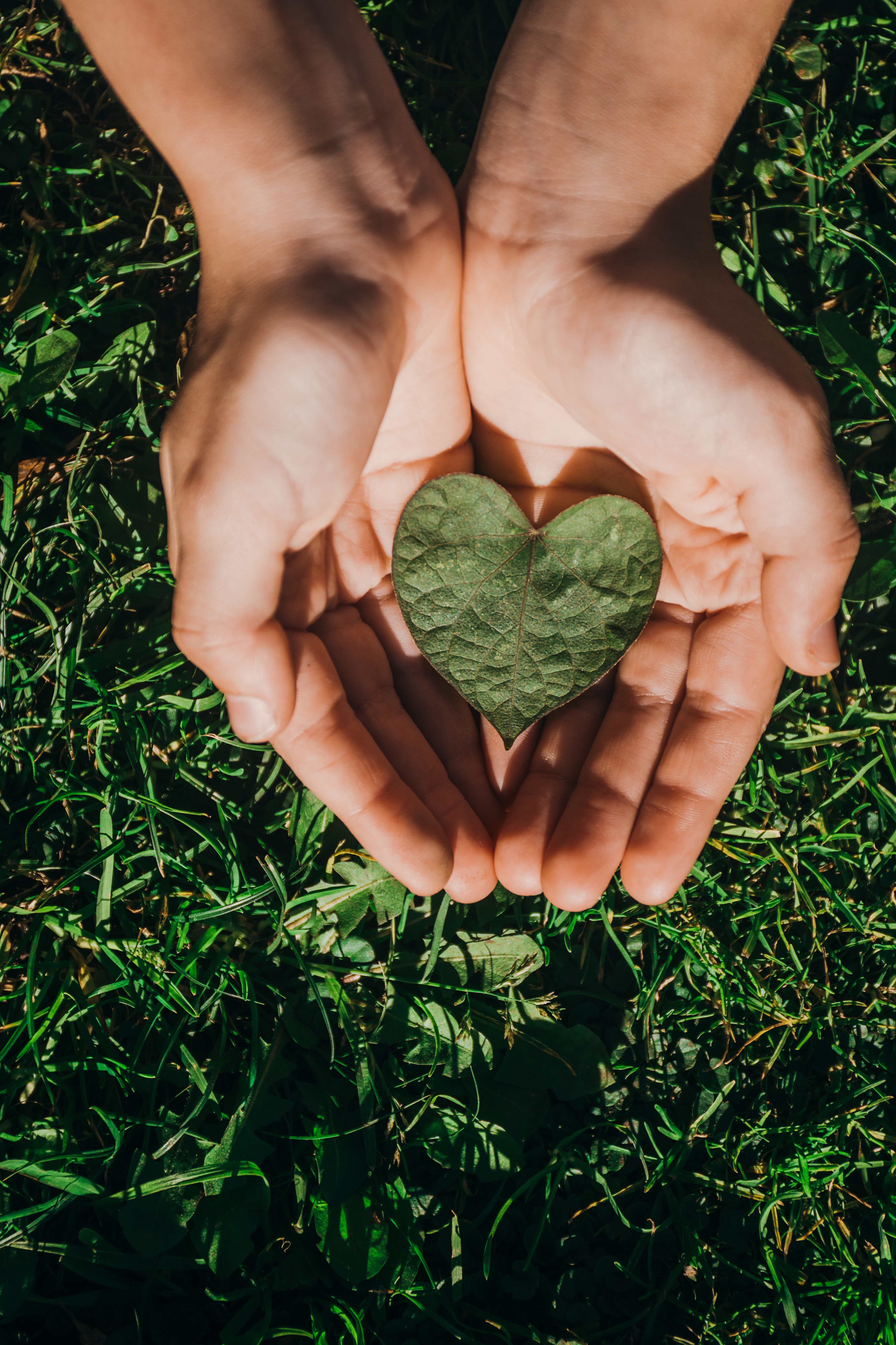 A boy holding a green heart-shaped leaf on a green background. concept of ecology, earth day