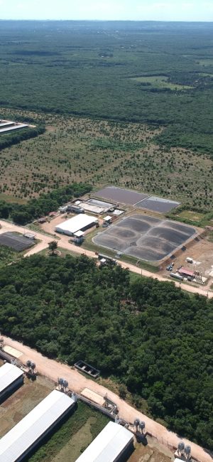 imagen granja chapab3